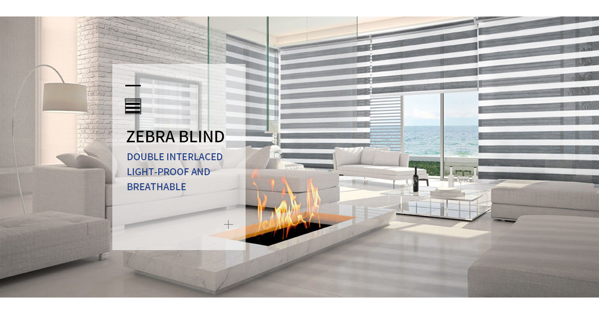 zebra blind