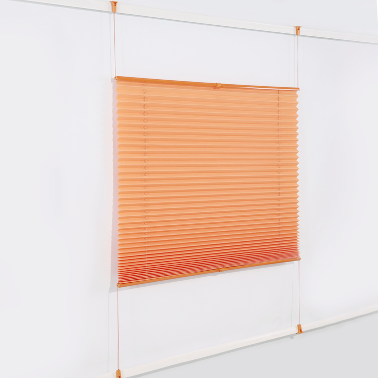 Pleated Blinds